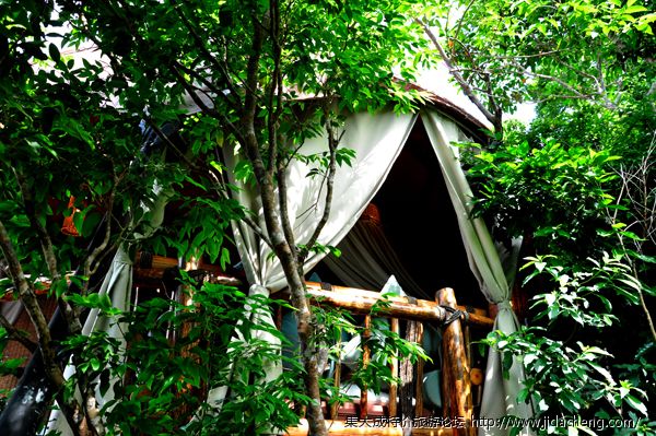 �񳲶ȼٴ� �����