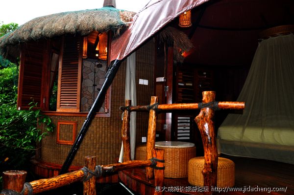 �����񳲶ȼٴ� �����